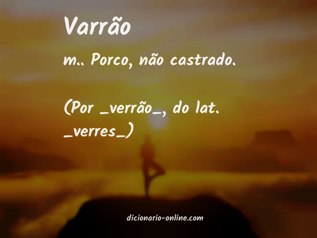 Significado de varrão