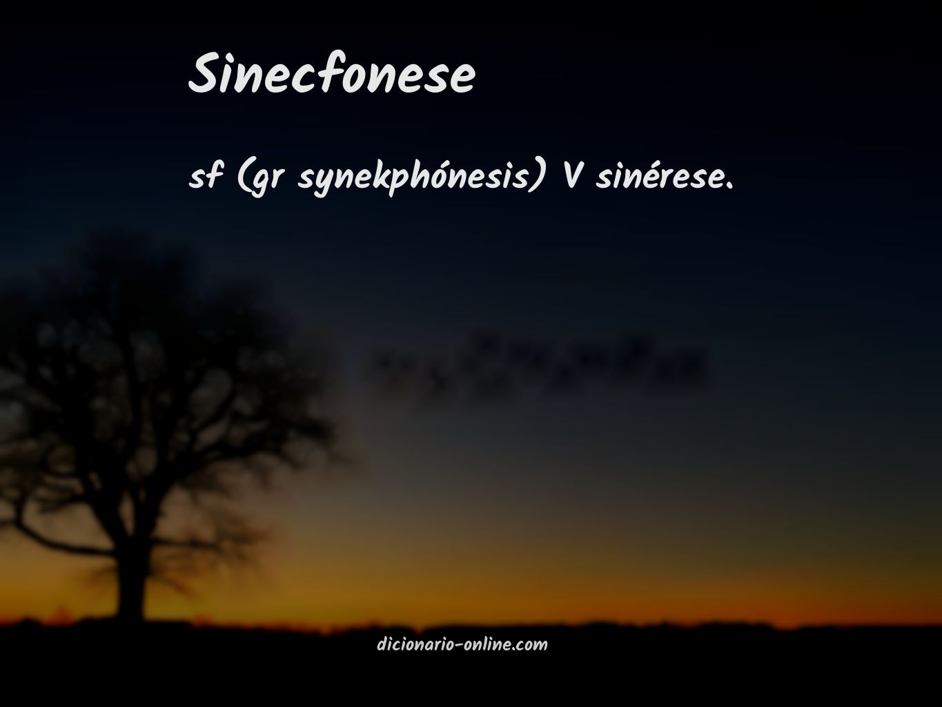 Significado de sinecfonese
