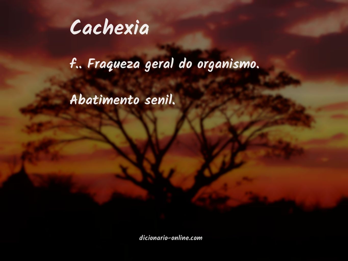 Significado de cachexia