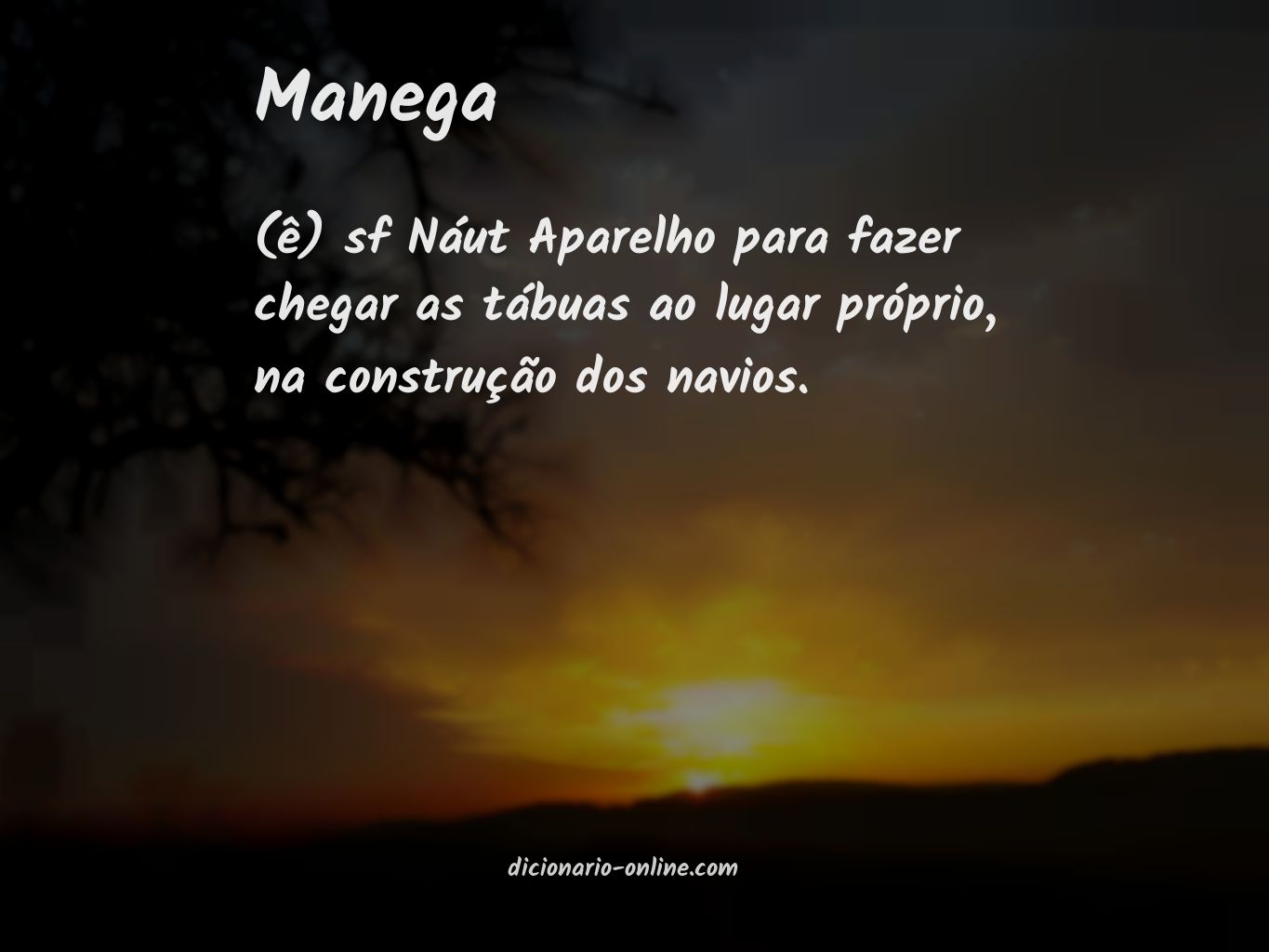 Significado de manega