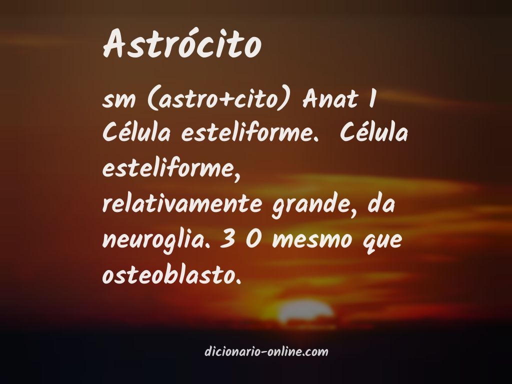 Significado de astrócito