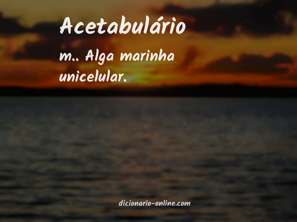 Significado de acetabulário