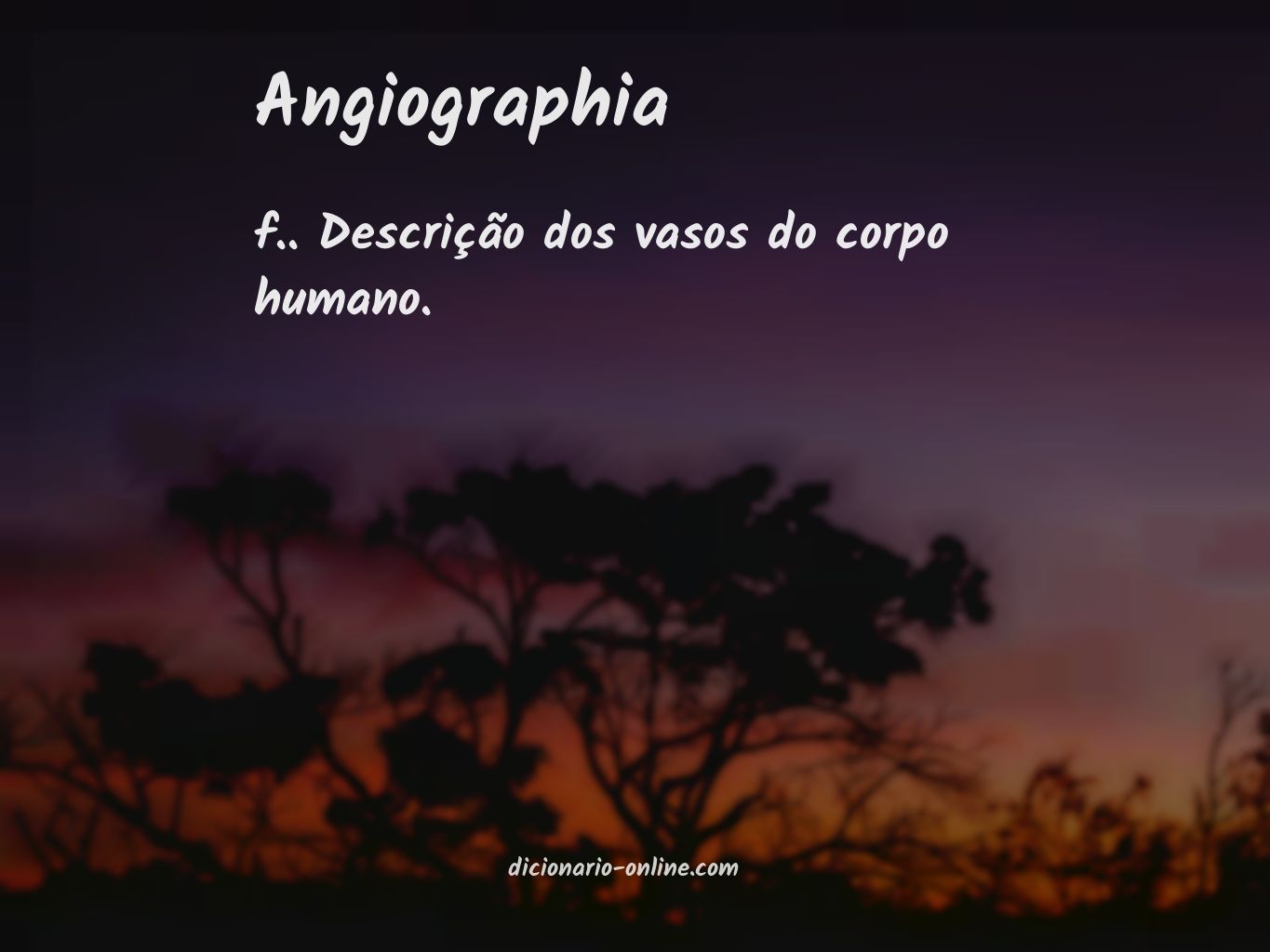 Significado de angiographia