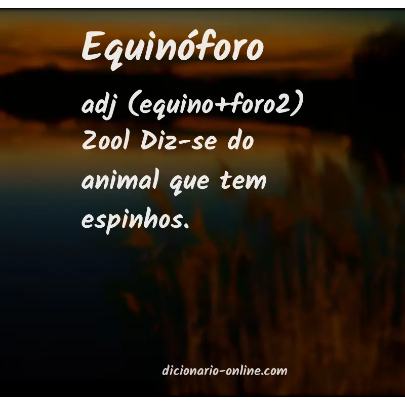 Significado de equinóforo