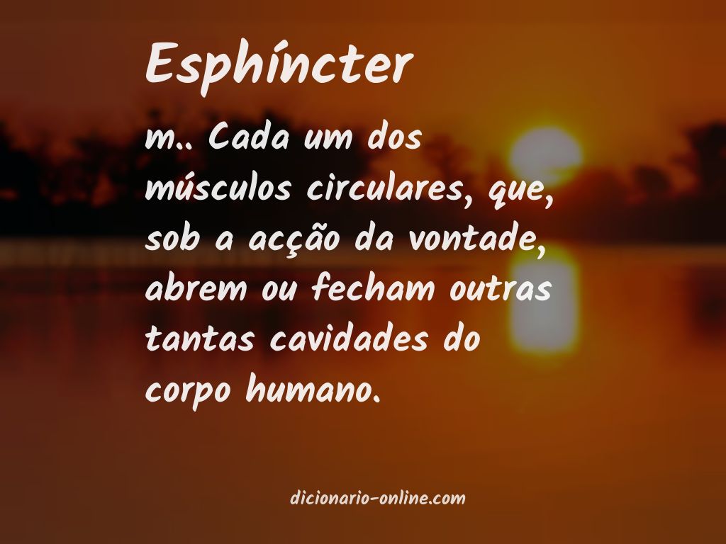 Significado de esphíncter