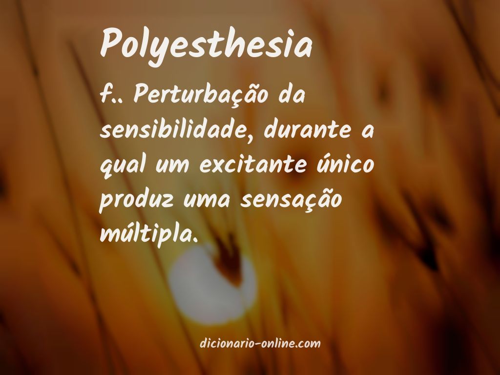 Significado de polyesthesia