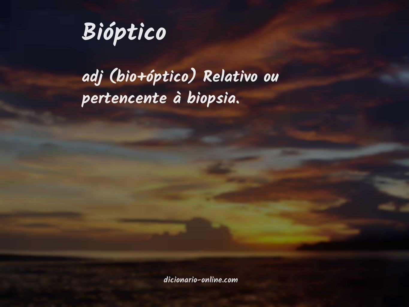 Significado de bióptico