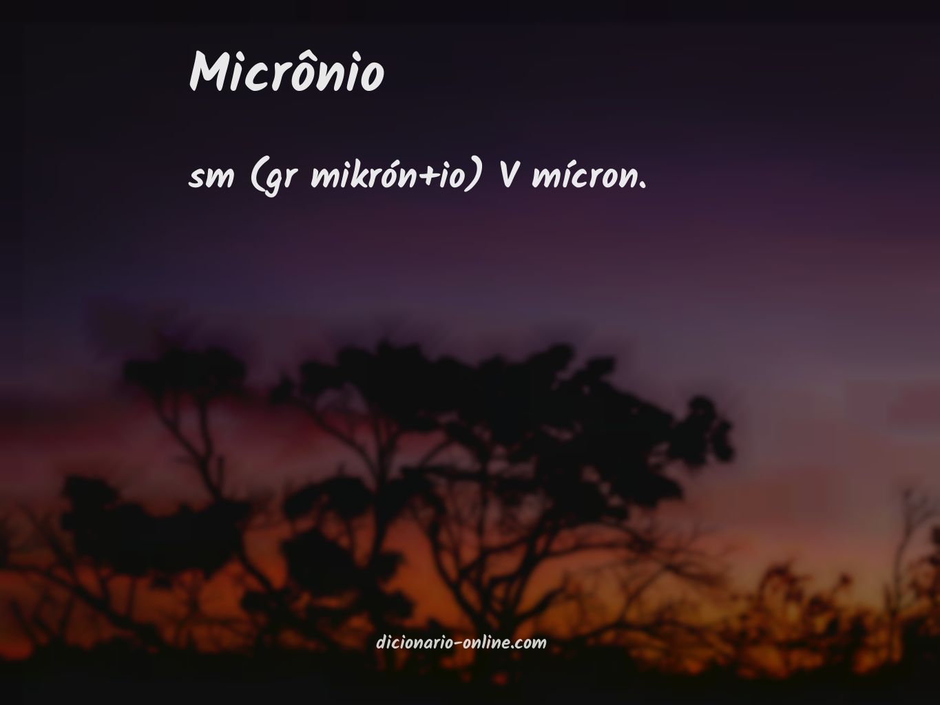 Significado de micrônio