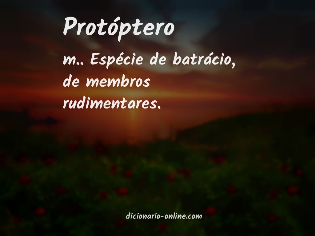 Significado de protóptero