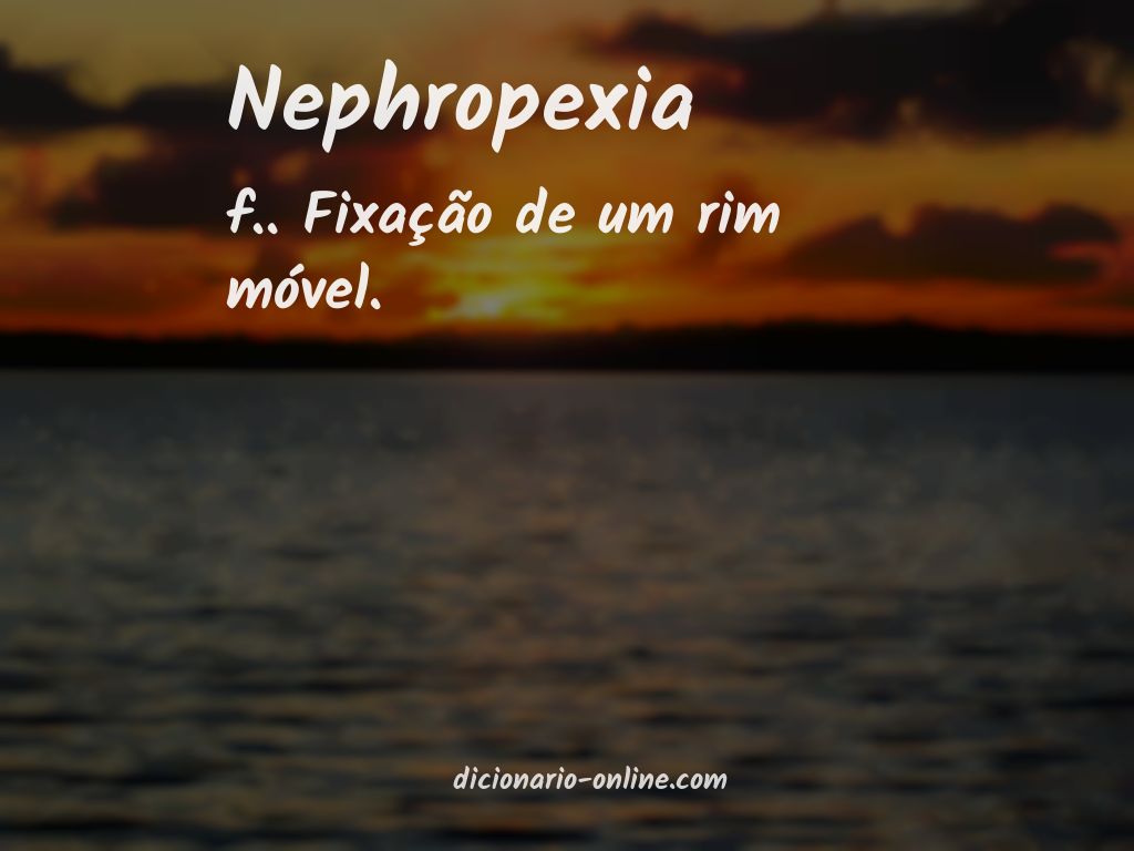 Significado de nephropexia