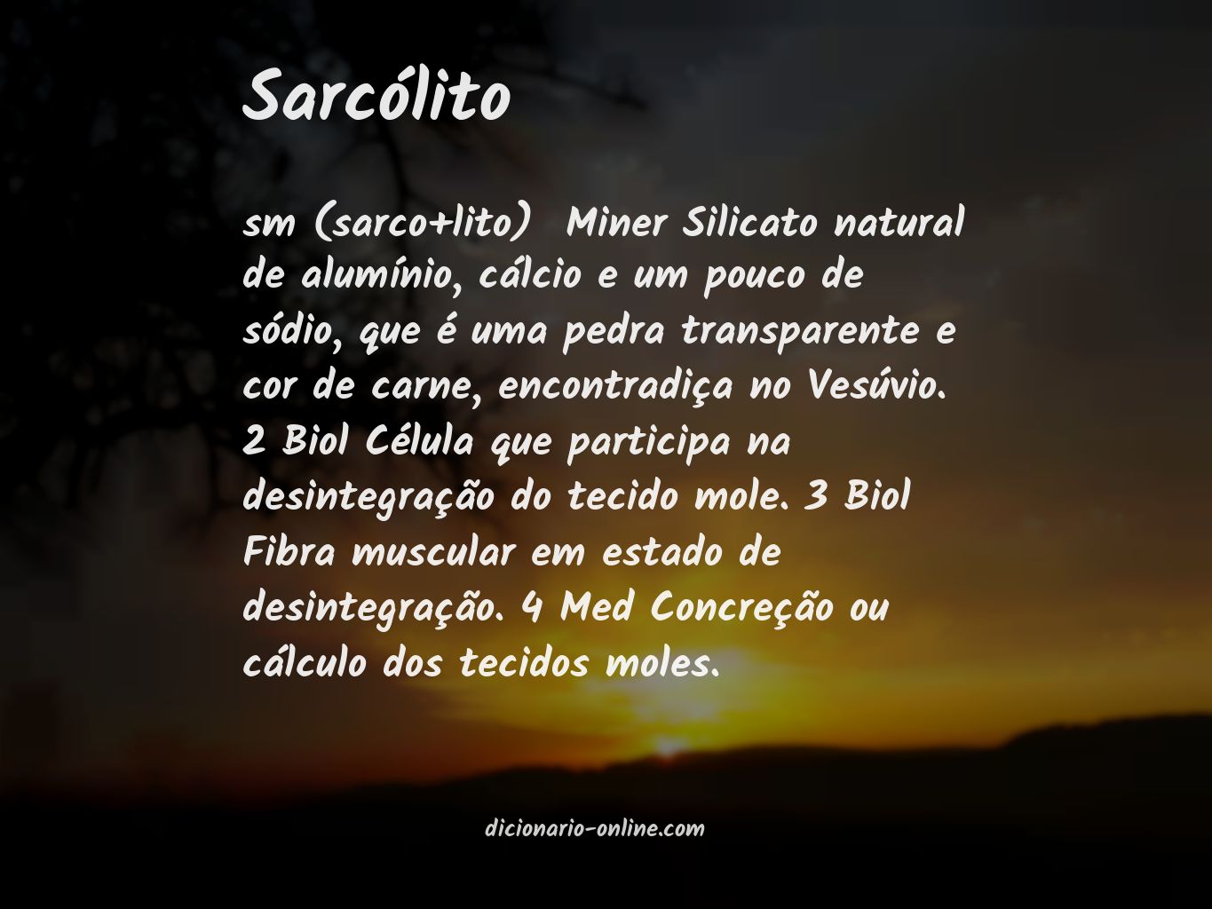 Significado de sarcólito