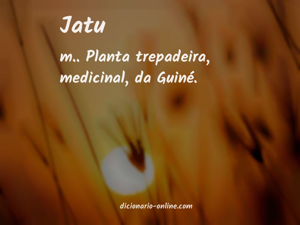 Significado de jatu