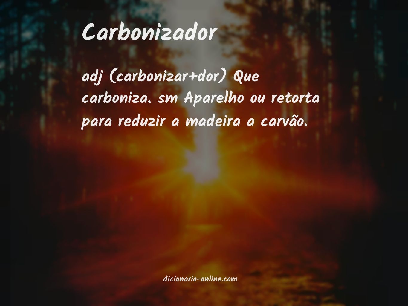 Significado de carbonizador