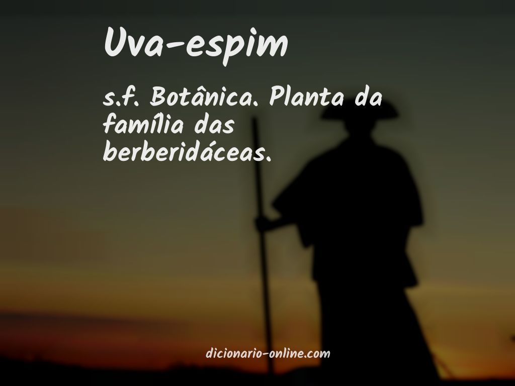 Significado de uva-espim