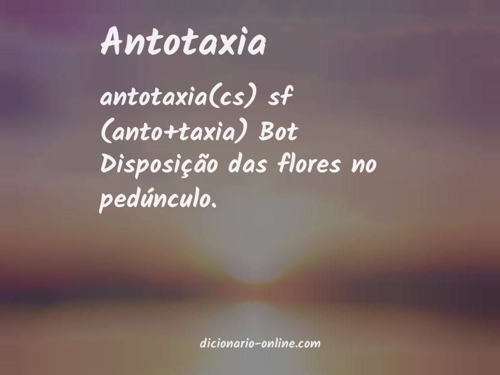 Significado de antotaxia