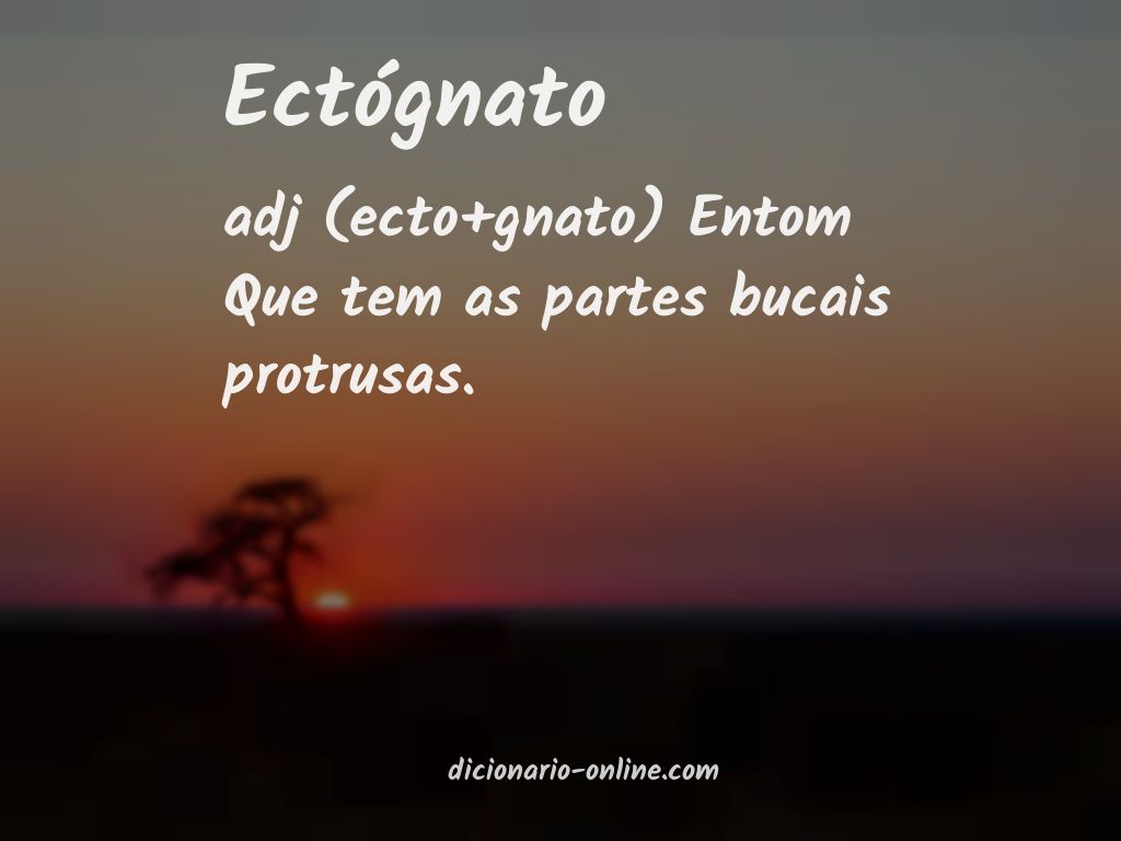 Significado de ectógnato