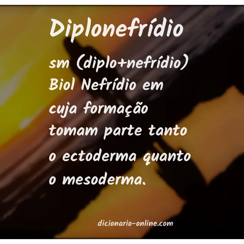 Significado de diplonefrídio