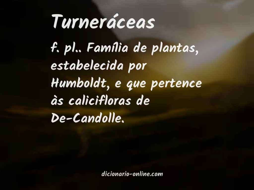 Significado de turneráceas