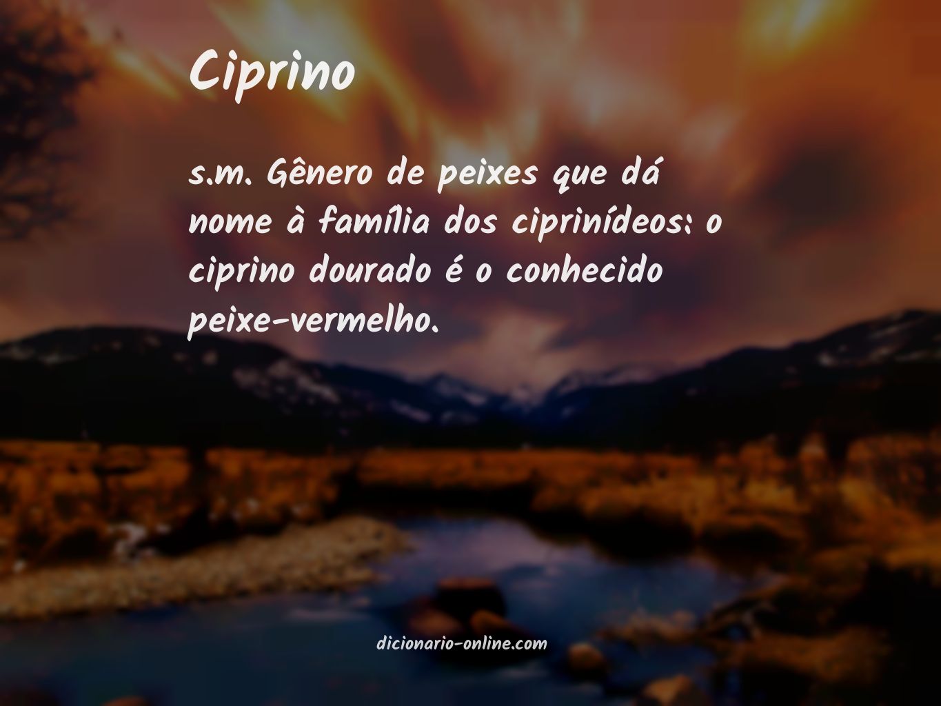 Significado de ciprino