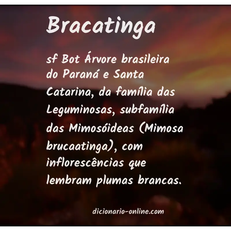 Significado de bracatinga