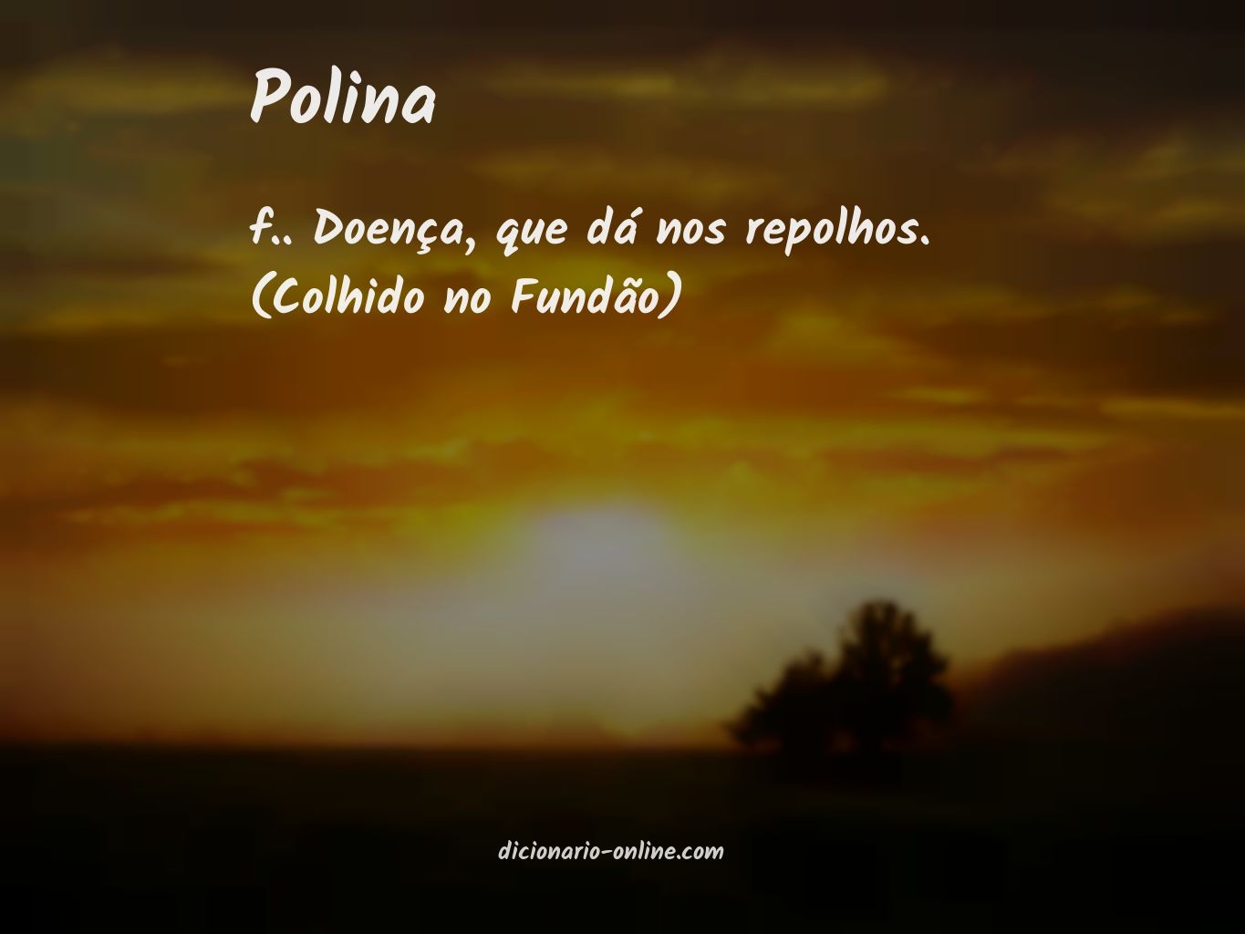 Significado de polina