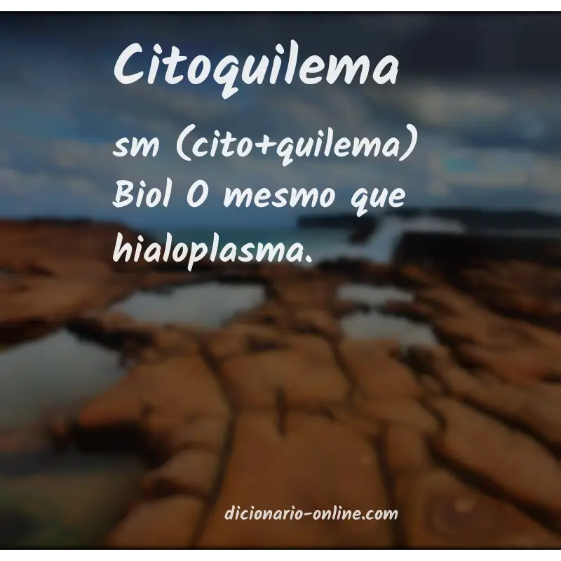 Significado de citoquilema