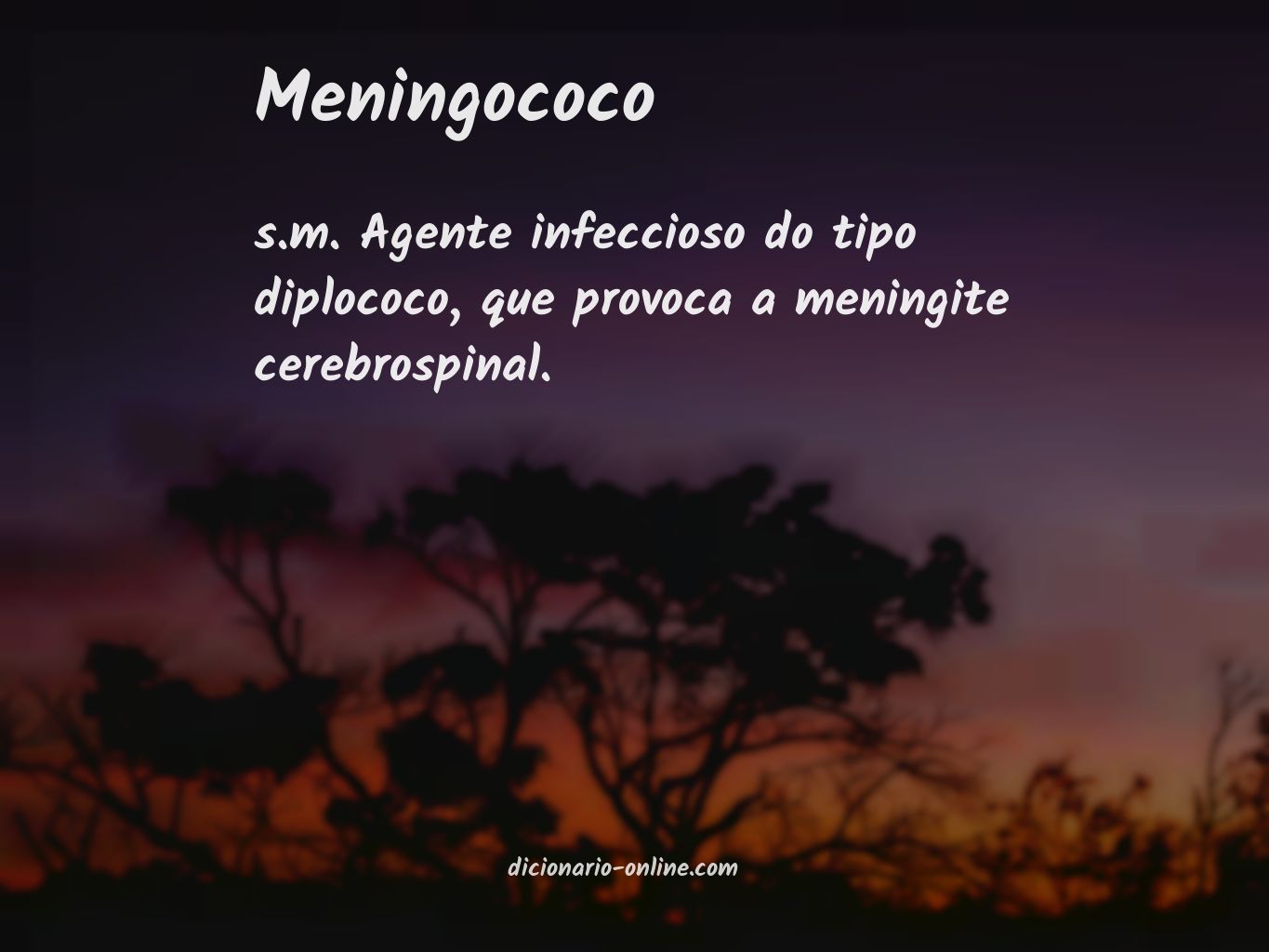 Significado de meningococo