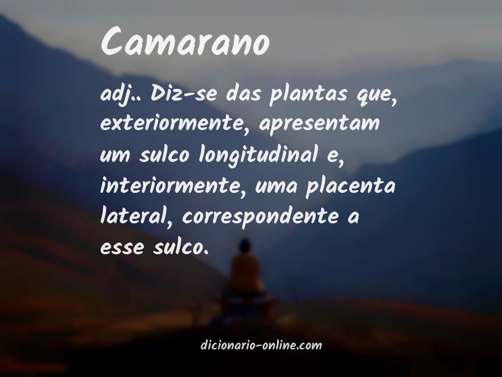 Significado de camarano