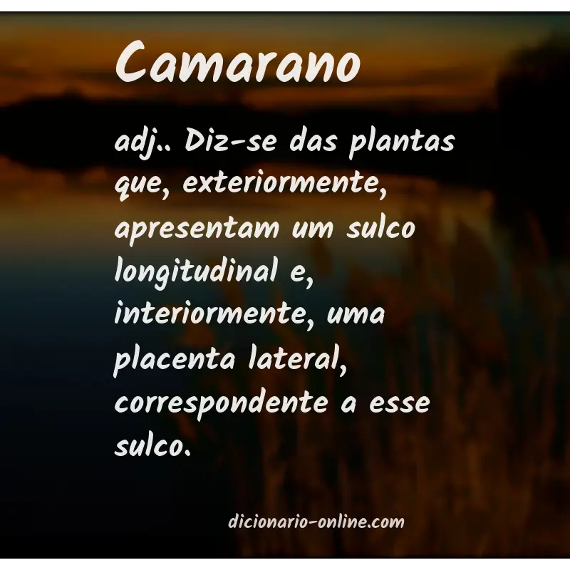 Significado de camarano