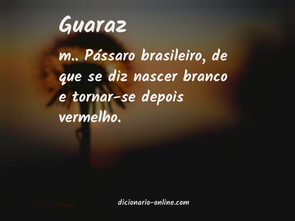 Significado de guaraz