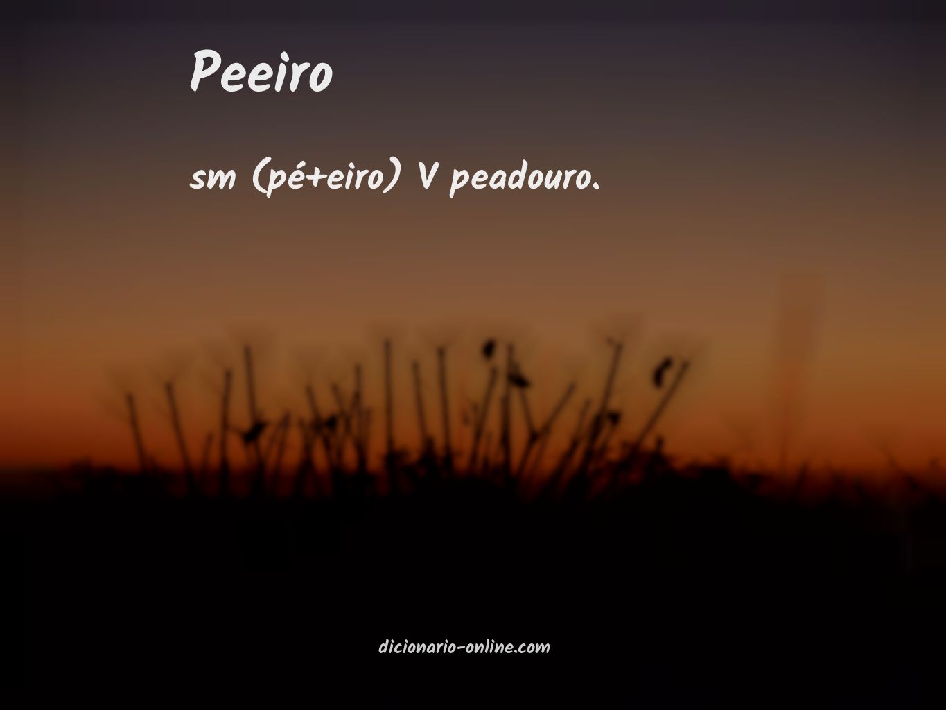 Significado de peeiro