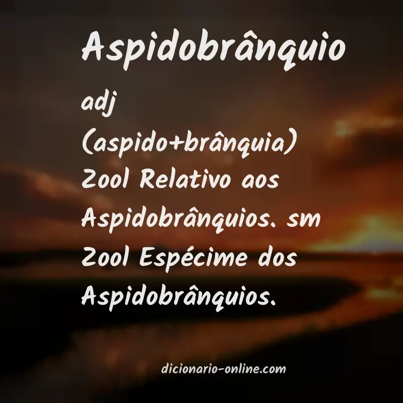 Significado de aspidobrânquio