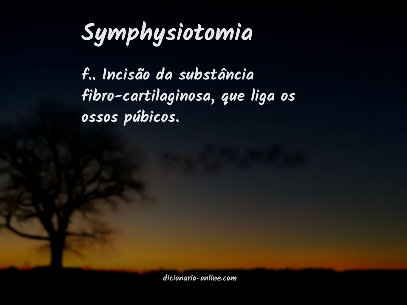 Significado de symphysiotomia