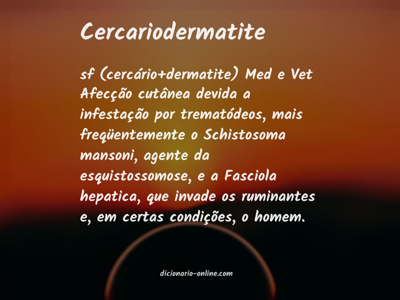 Significado de cercariodermatite