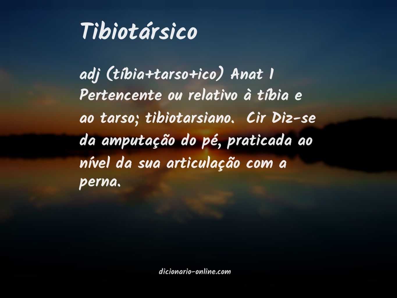 Significado de tibiotársico