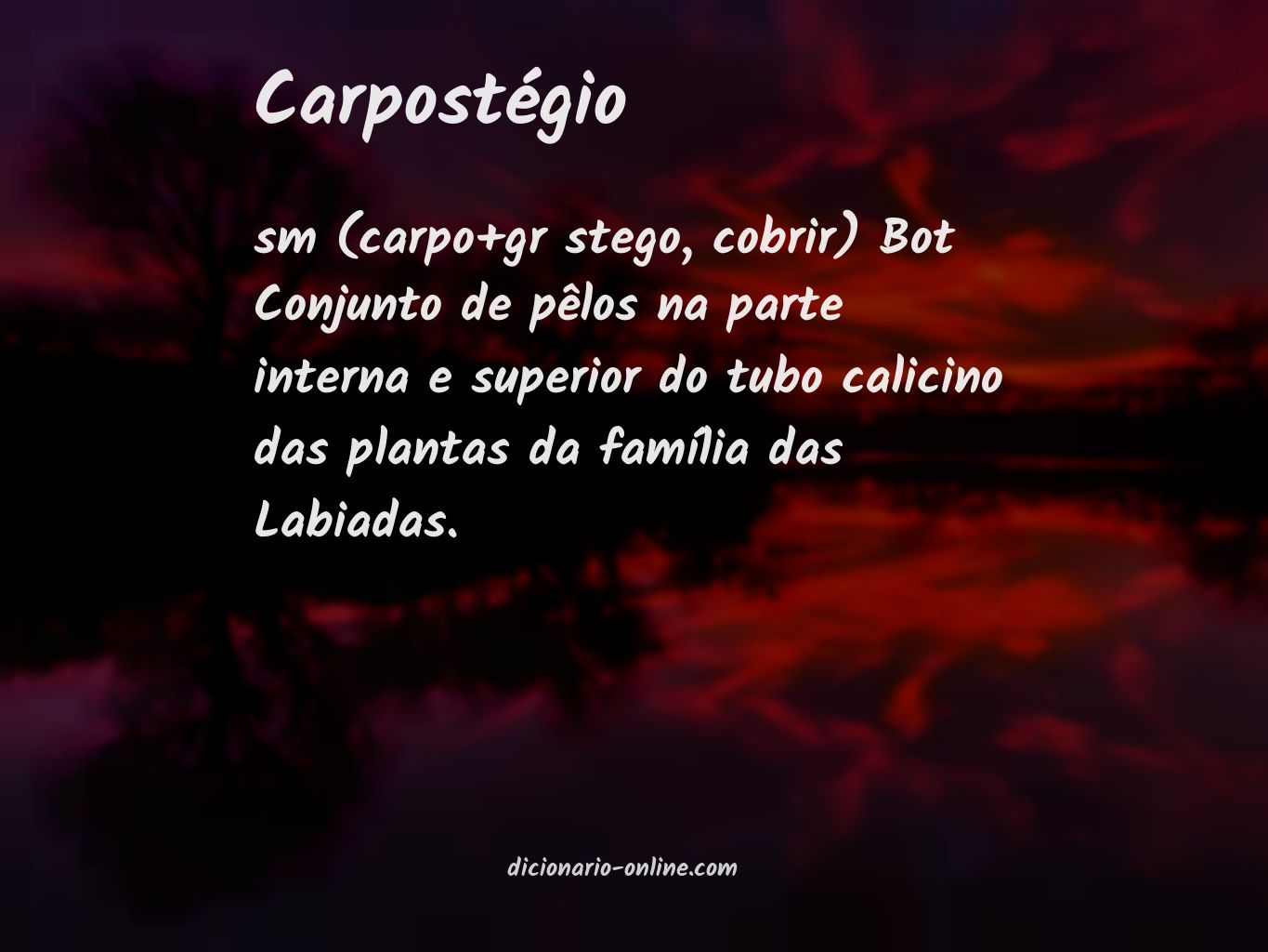 Significado de carpostégio