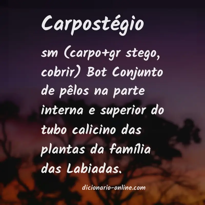 Significado de carpostégio