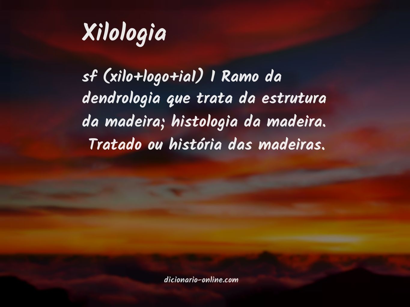 Significado de xilologia