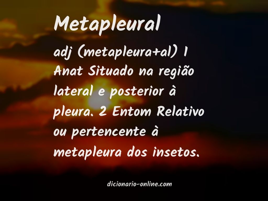 Significado de metapleural