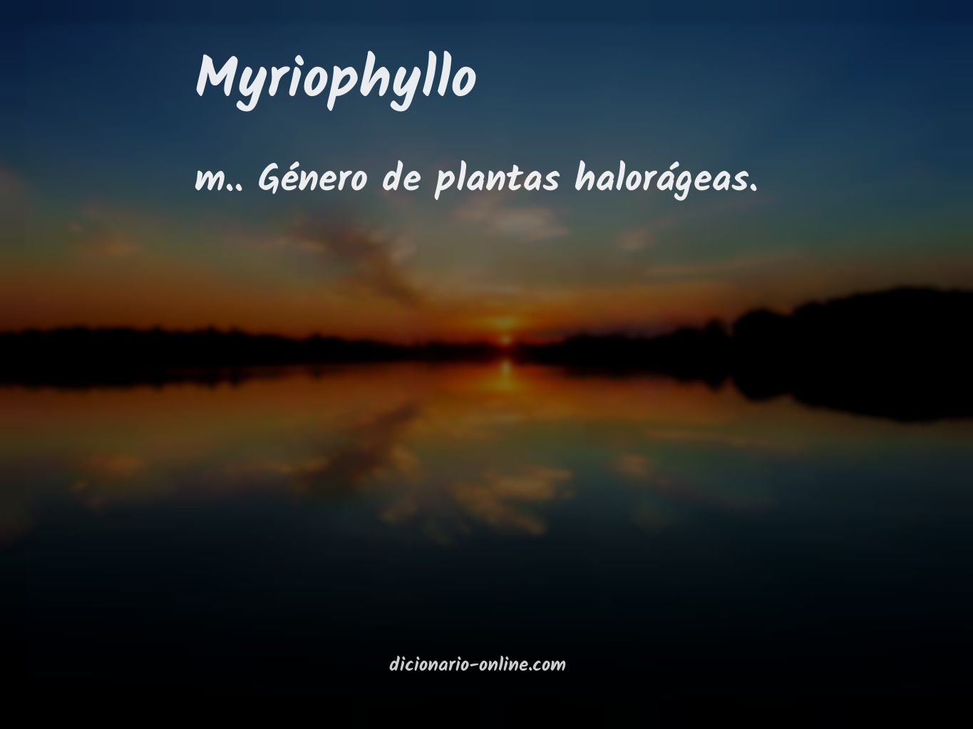 Significado de myriophyllo