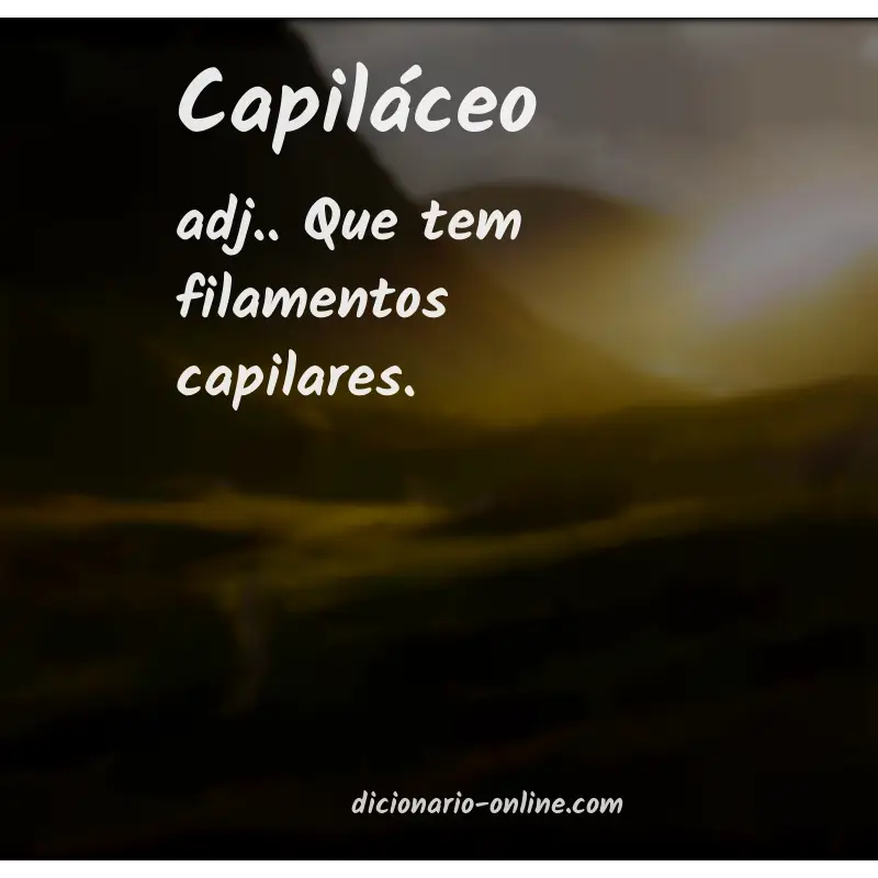 Significado de capiláceo
