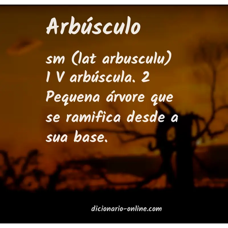 Significado de arbúsculo