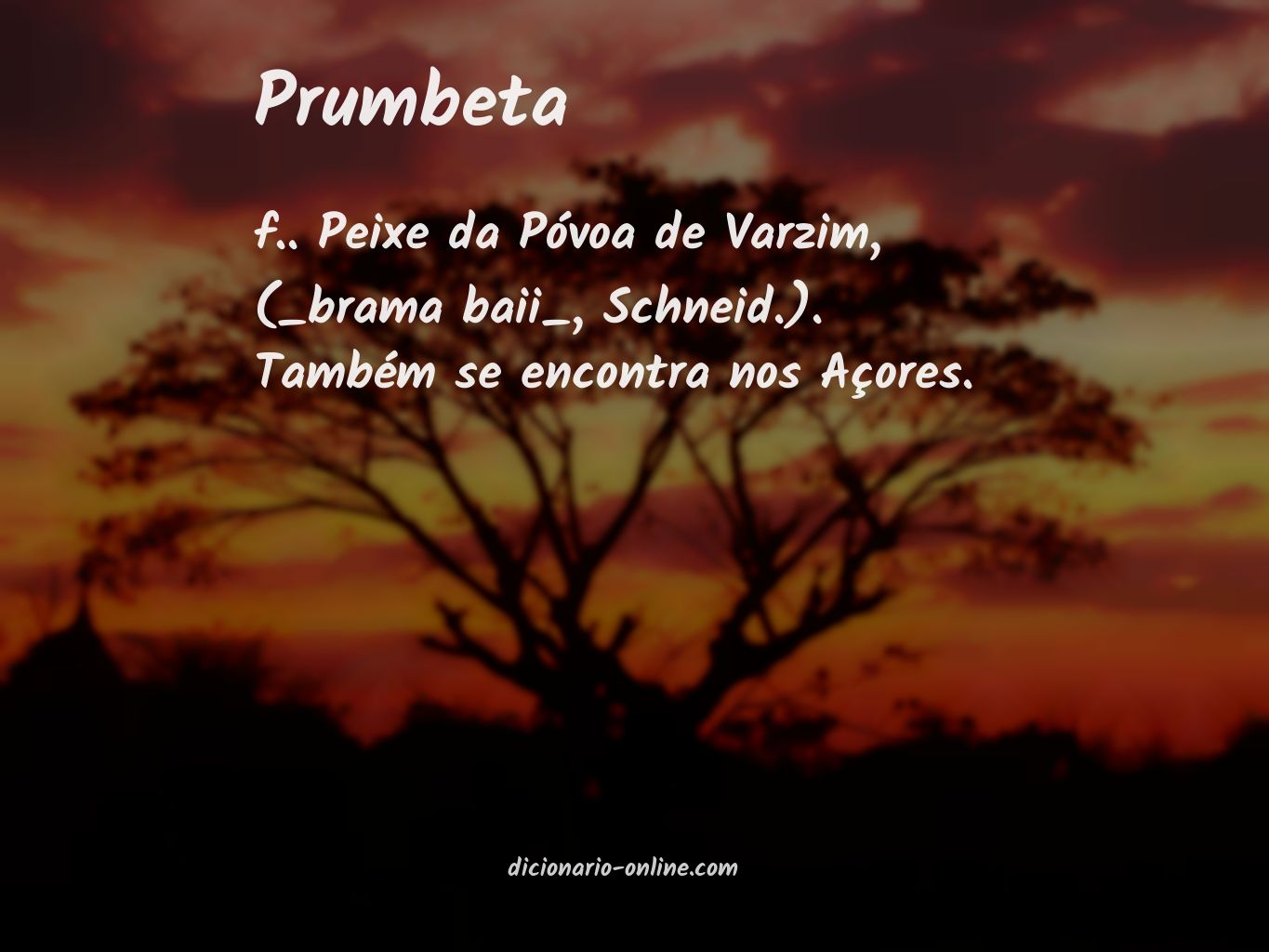 Significado de prumbeta