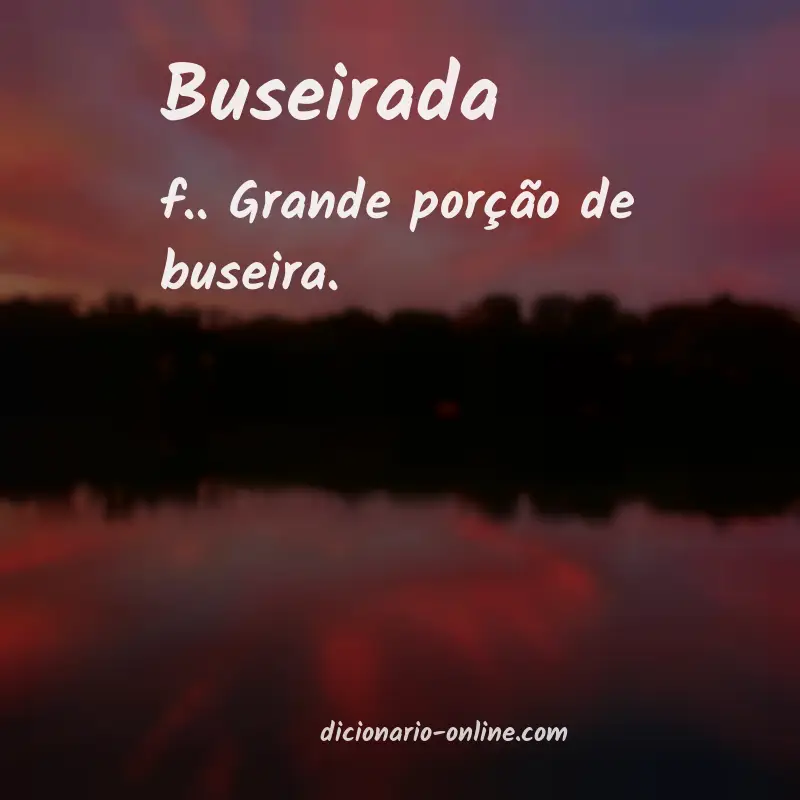 Significado de buseirada