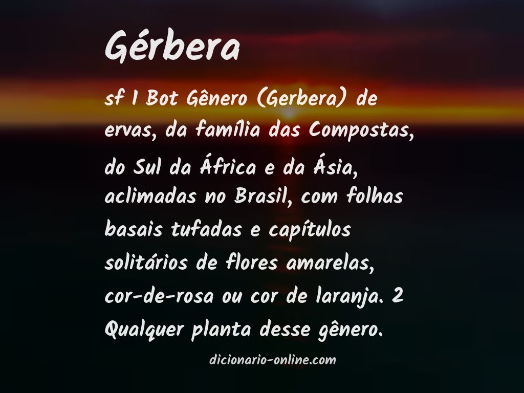 Significado de gérbera