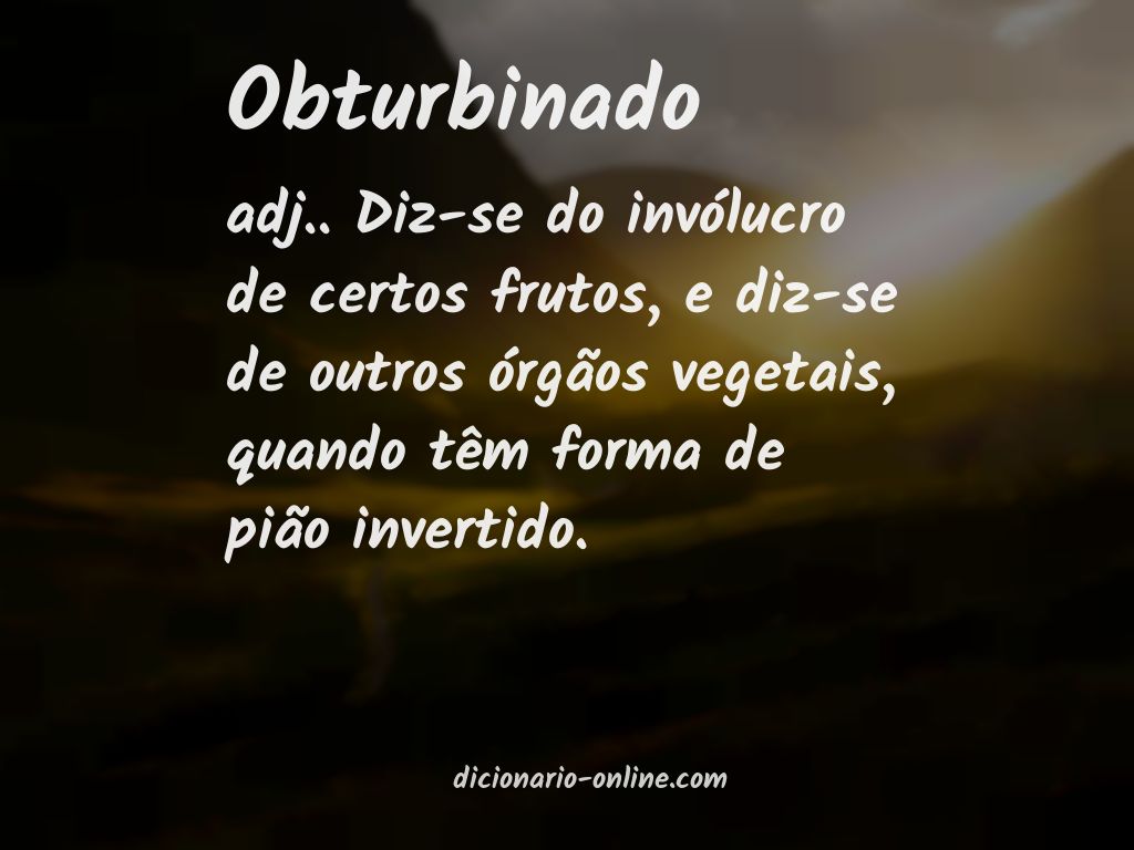 Significado de obturbinado