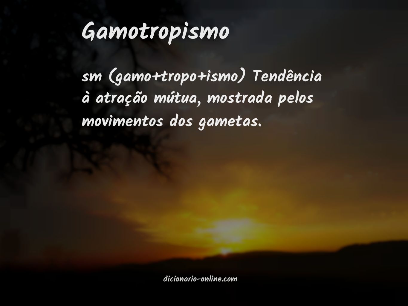 Significado de gamotropismo