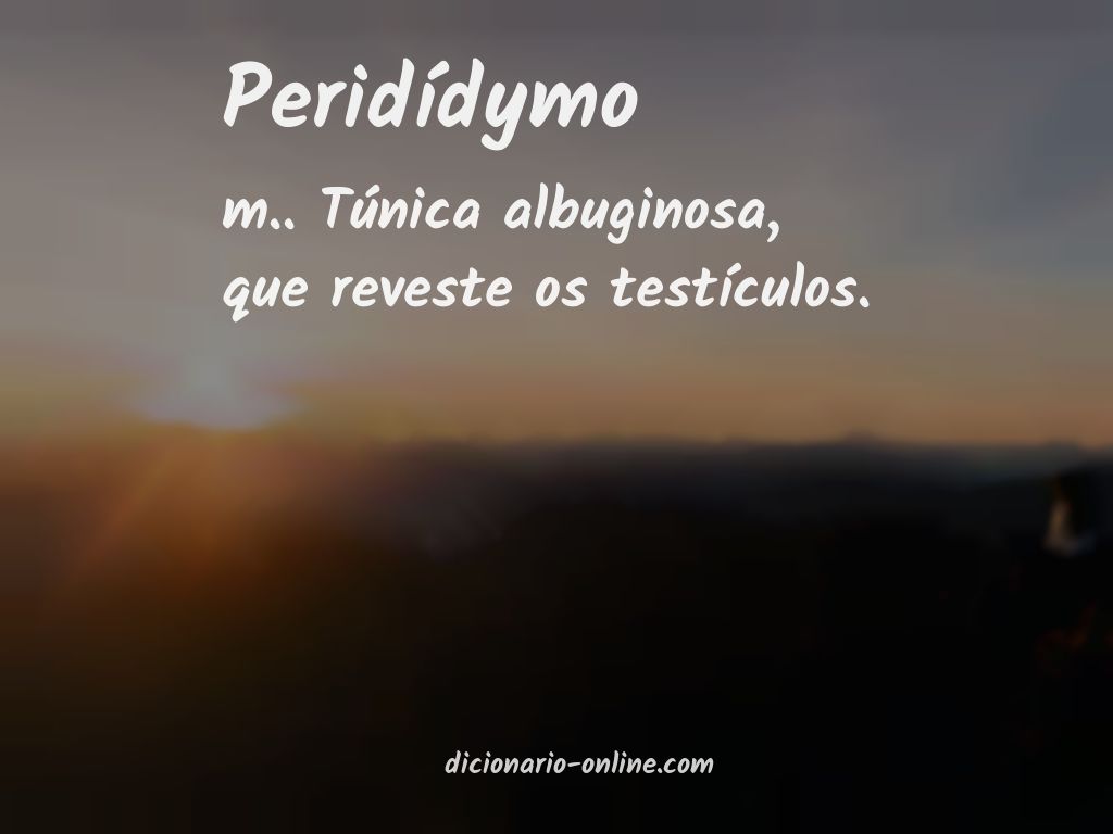 Significado de peridídymo