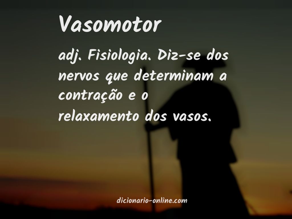 Significado de vasomotor