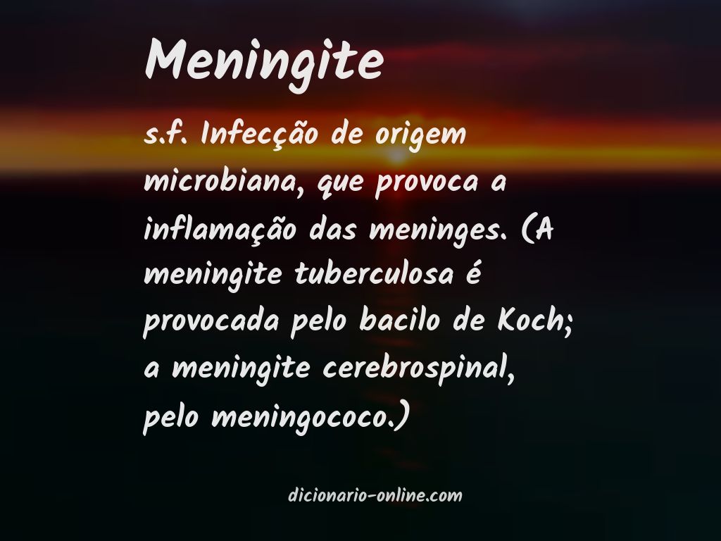Significado de meningite